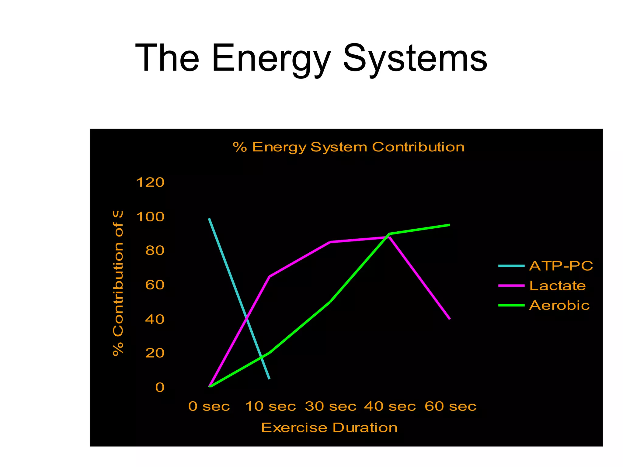 The Energy Systems 