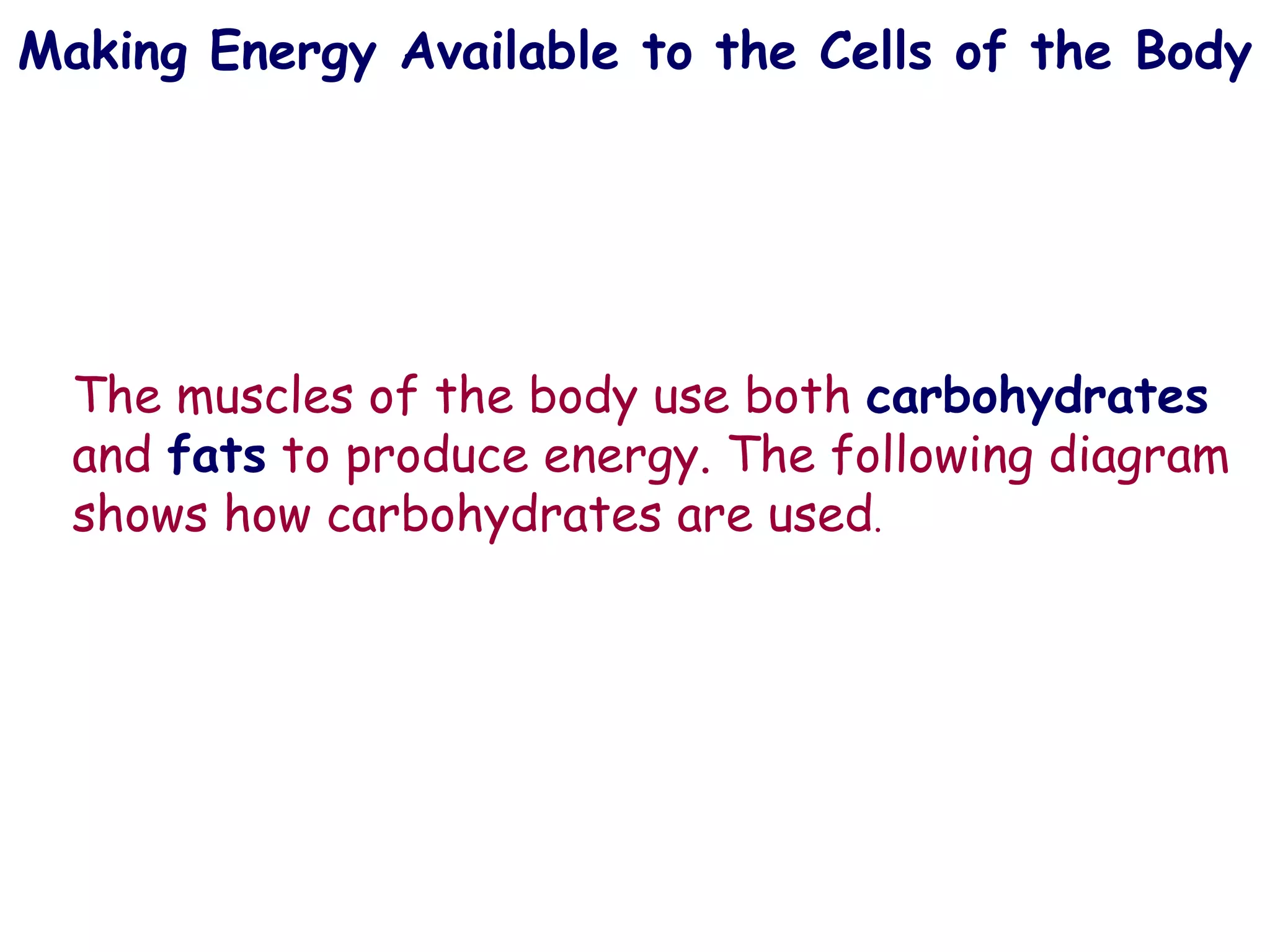 Making Energy Available to the Cells of the Body  The muscles of the body use both   carbohydrates   and   fats   to   produce   energy. The following diagram shows how carbohydrates are used . 