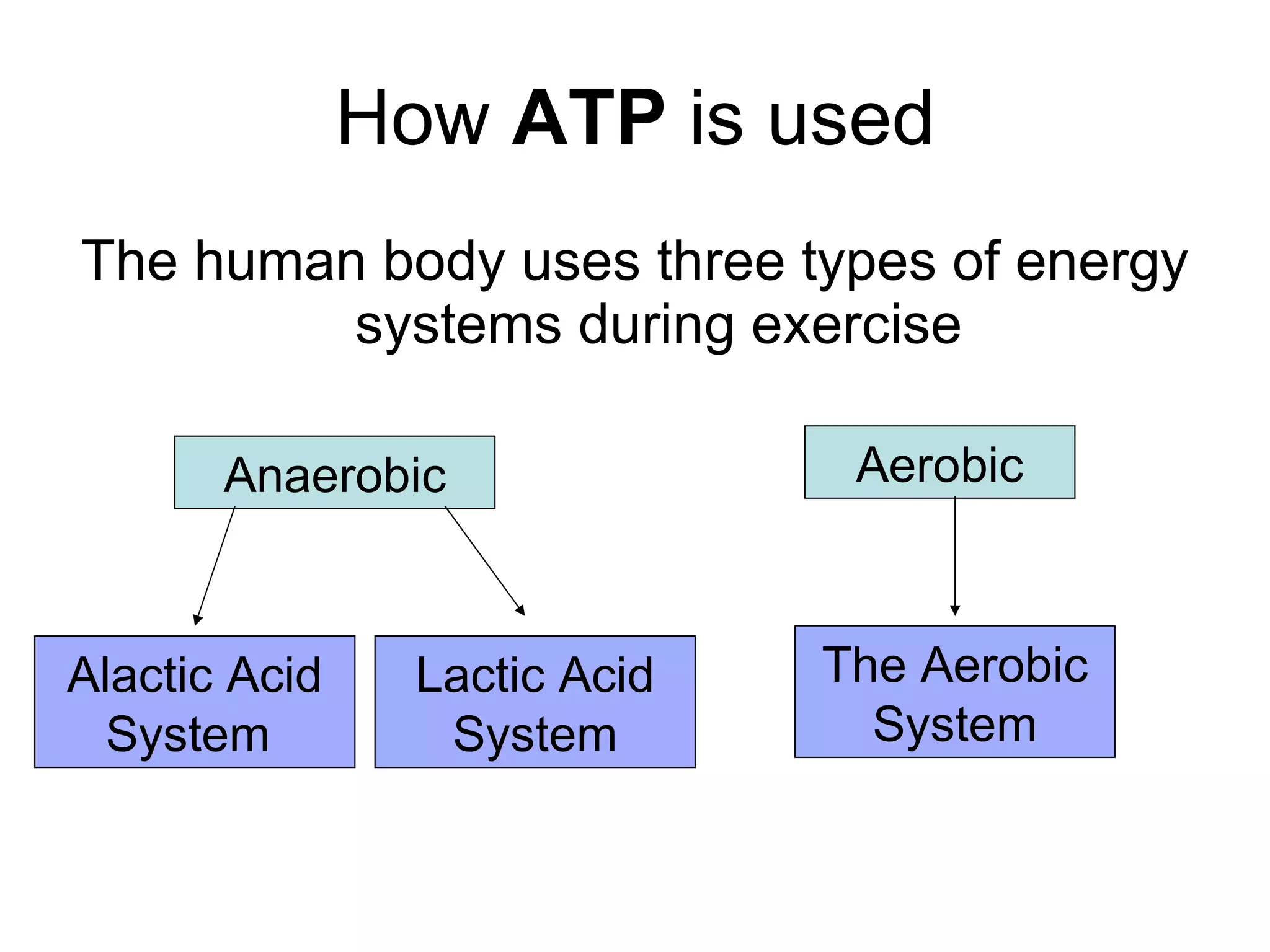How  ATP  is used The human body uses three types of energy systems during exercise Anaerobic Aerobic Alactic Acid System  Lactic Acid System The Aerobic System 