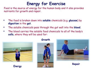 Energy for Exercise The food is broken down into  soluble  chemicals (e.g.  glucose ) by  digestion  in the  gut . The soluble chemicals pass through the gut wall into the  blood . The blood carries the soluble food chemicals to all of the body’s  cells ,  where they will be used for: Energy Growth Repair Food is the source of energy for the human body and it also provides nutrients for growth and repair.  