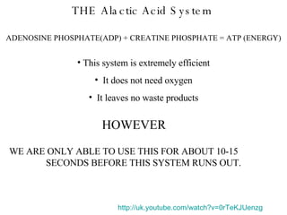 THE Alactic Acid System ADENOSINE PHOSPHATE(ADP) + CREATINE PHOSPHATE = ATP (ENERGY) This system is extremely efficient It does not need oxygen It leaves no waste products HOWEVER WE ARE ONLY ABLE TO USE THIS FOR ABOUT 10-15  SECONDS BEFORE THIS SYSTEM RUNS OUT. http:// uk.youtube.com/watch?v =0rTeKJUenzg 
