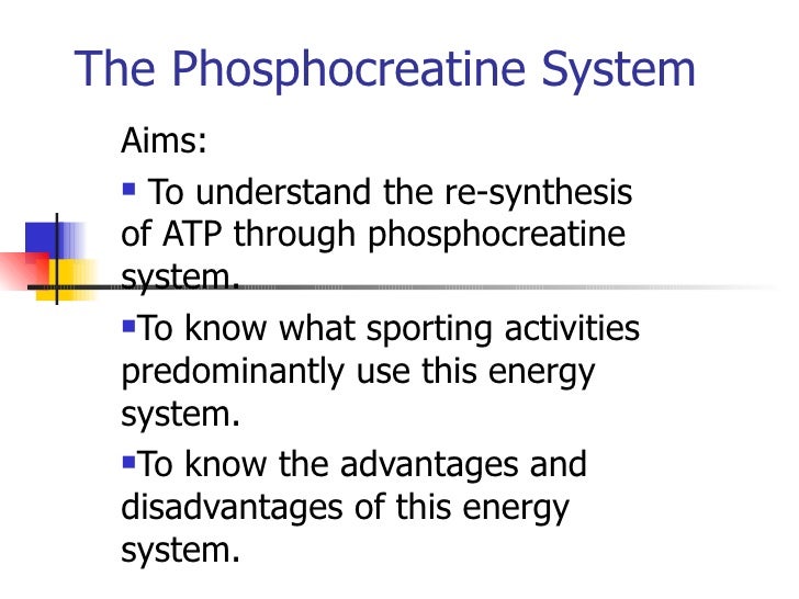 phosphocreatine resynthesis during recovery The nutritional biochemistry of creatine during repeated bouts of maximal exercise and rates of phosphocreatine resynthesis during recovery from maximal. phosphocreatine resynthesis during recovery The nutritional biochemistry of creatine during repeated bouts of maximal exercise and rates of phosphocreatine resynthesis during recovery from maximal.