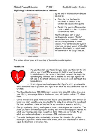 AQA AS Physical Education               PHED 1              Double Circulatory System
Physiology: Structure and function of the heart
                                                  By the end of this lesson you should
                                                  be able to:
                                                  •   Describe how the heart is
                                                      structured in relation to its
                                                      function as a dual action pump
                                                  •   Explain the events of the cardiac
                                                      cycle in relation to the conduction
                                                      system of the heart.
                                                  Your heart is just part of your
                                                  cardiovascular system. “Cardio”
                                                  means heart and “vascular” means
                                                  the circulatory network of blood
                                                  vessels. Your cardiovascular system
                                                  ensures a constant supply of blood to
                                                  all parts of the body, to help it meet
                                                  the demands of the body’s tissues.



The picture above gives and overview of the cardiovascular system.


Heart Facts
                 •   Put your hand on your heart. Did you place your hand on the left
                     side of your chest? Many people do, but the heart is actually
                     located almost in the centre of the chest, between the lungs. It's
                     tipped slightly so that a part of it sticks out and taps against the
                     left side of the chest, which is what makes it seem as though it is
                     located there.
                 • Hold out your hand and make a fist. If you're a kid, your heart is
    about the same size as your fist, and if you're an adult, it's about the same size as
    two fists.
•   Your heart beats about 100,000 times in one day and about 35 million times in a
    year. During an average lifetime, the human heart will beat more than 2.5 billion
    times.
•   Give a tennis ball a good, hard squeeze. You're using about the same amount of
    force your heart uses to pump blood out to the body. Even at rest, the muscles of
    the heart work hard - twice as hard as the leg muscles of a person sprinting.
•   Feel your pulse by placing two fingers at pulse points on your neck or wrists. The
    pulse you feel is blood stopping and starting as it moves through your arteries. As
    a kid, your resting pulse might range from 90 to 120 beats per minute. As an
    adult, your pulse rate slows to an average of 72 beats per minute.
•   The aorta, the largest artery in the body, is almost the diameter of a garden
    hosepipe. Capillaries, on the other hand, are so small that it takes ten of them to
    equal the thickness of a human hair.



                                                                              Page 1 of 6
 