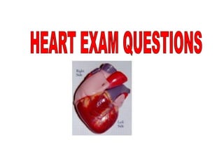 HEART EXAM QUESTIONS 