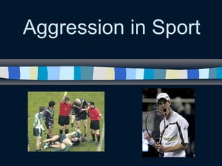 Aggression in Sport
 