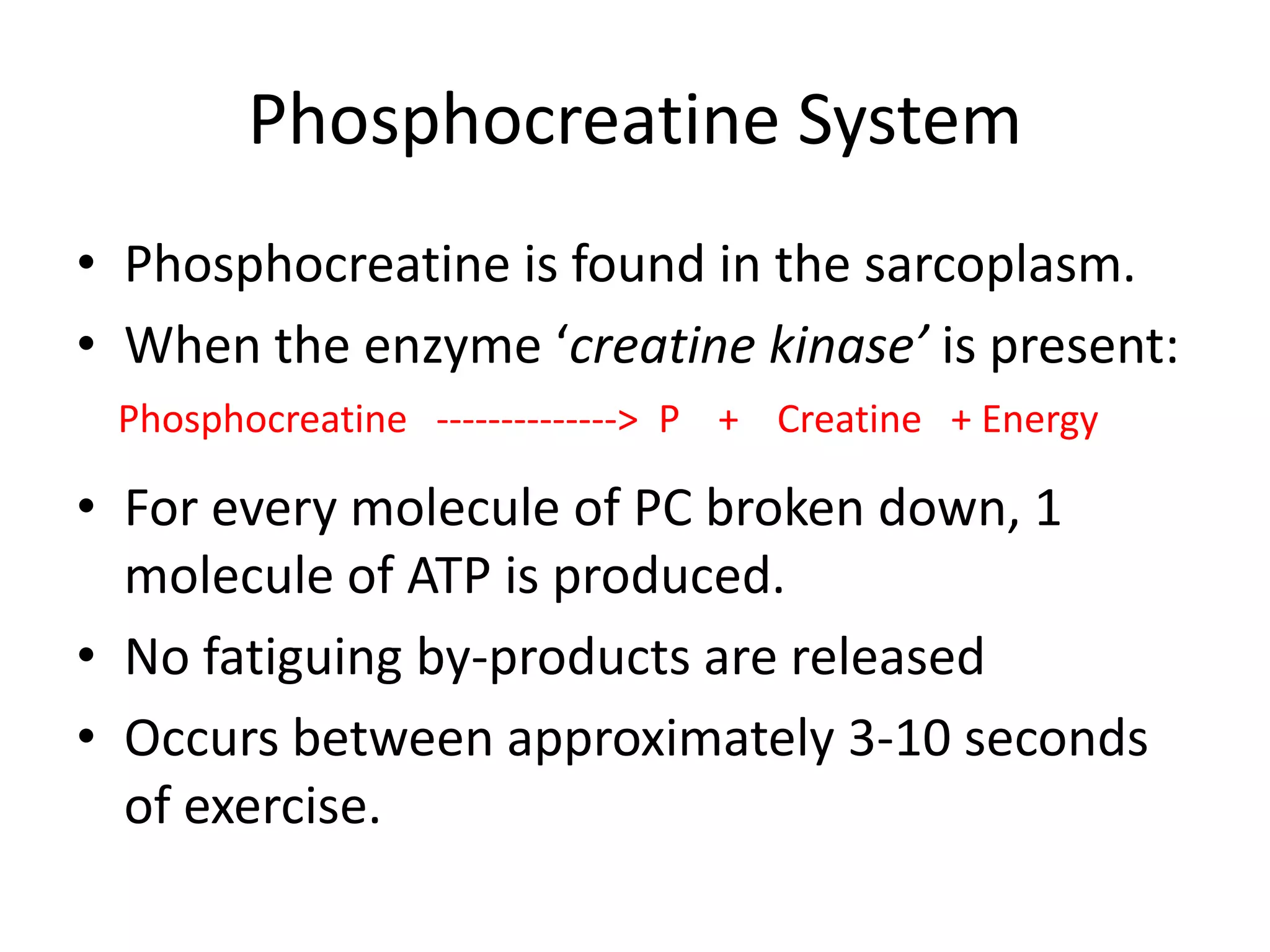 Phosphocreatine System
• Phosphocreatine is found in the sarcoplasm.
• When the enzyme ‘creatine kinase’ is present:
 Phosphocreatine --------------> P + Creatine + Energy

• For every molecule of PC broken down, 1
  molecule of ATP is produced.
• No fatiguing by-products are released
• Occurs between approximately 3-10 seconds
  of exercise.
 