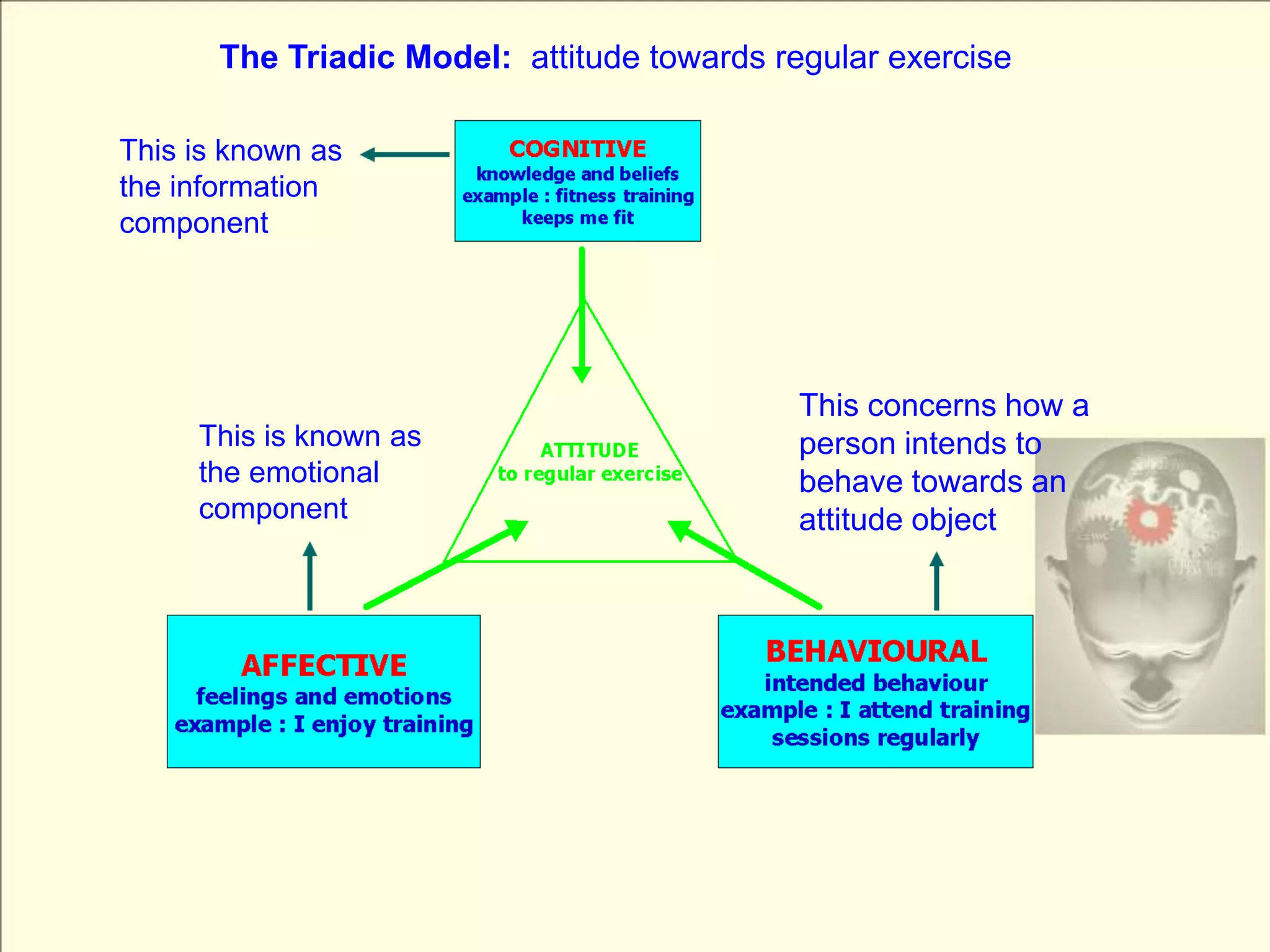 The Triadic Model:  attitude towards regular exerciseThis is known as the information componentThis concerns how a person intends to behave towards an attitude objectThis is known as the emotional component