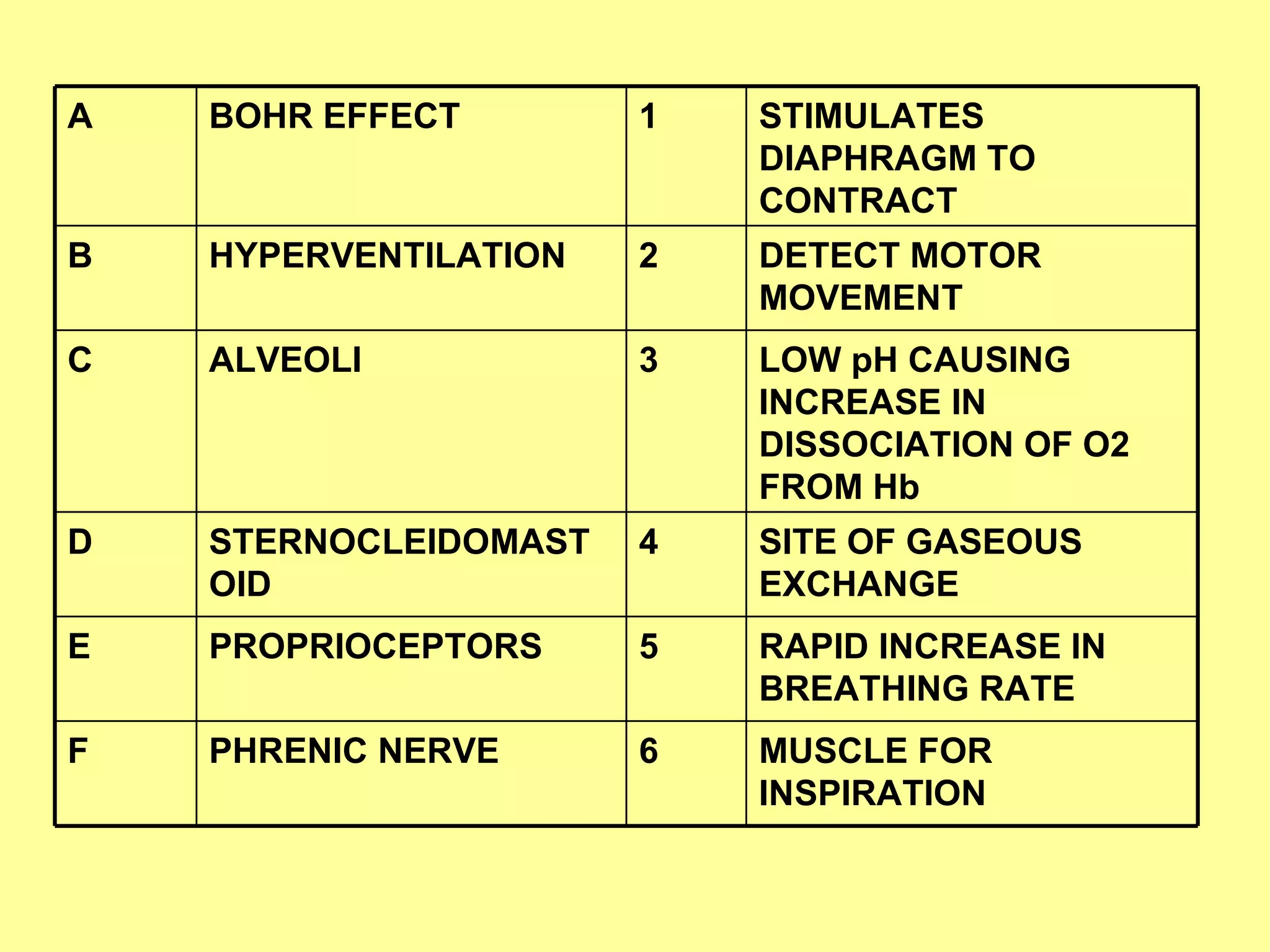 MUSCLE FOR INSPIRATION 6 PHRENIC NERVE F RAPID INCREASE IN BREATHING RATE 5 PROPRIOCEPTORS E SITE OF GASEOUS EXCHANGE 4 STERNOCLEIDOMASTOID D LOW pH CAUSING INCREASE IN DISSOCIATION OF O2 FROM Hb 3 ALVEOLI C DETECT MOTOR MOVEMENT 2 HYPERVENTILATION B STIMULATES DIAPHRAGM TO CONTRACT 1 BOHR EFFECT A 