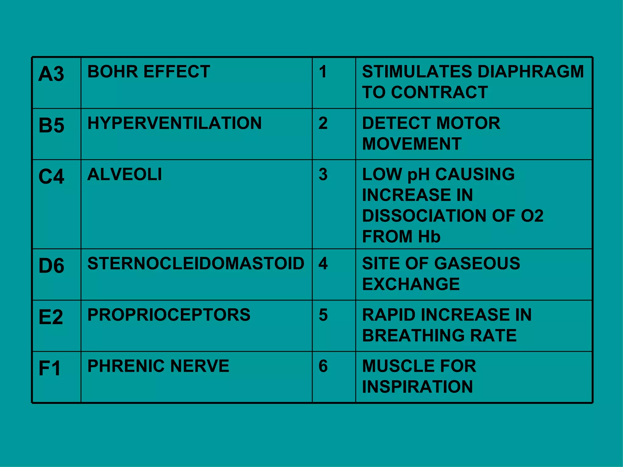 MUSCLE FOR INSPIRATION 6 PHRENIC NERVE F1 RAPID INCREASE IN BREATHING RATE 5 PROPRIOCEPTORS E2 SITE OF GASEOUS EXCHANGE 4 STERNOCLEIDOMASTOID D6 LOW pH CAUSING INCREASE IN DISSOCIATION OF O2 FROM Hb 3 ALVEOLI C4 DETECT MOTOR MOVEMENT 2 HYPERVENTILATION B5 STIMULATES DIAPHRAGM TO CONTRACT 1 BOHR EFFECT A3 