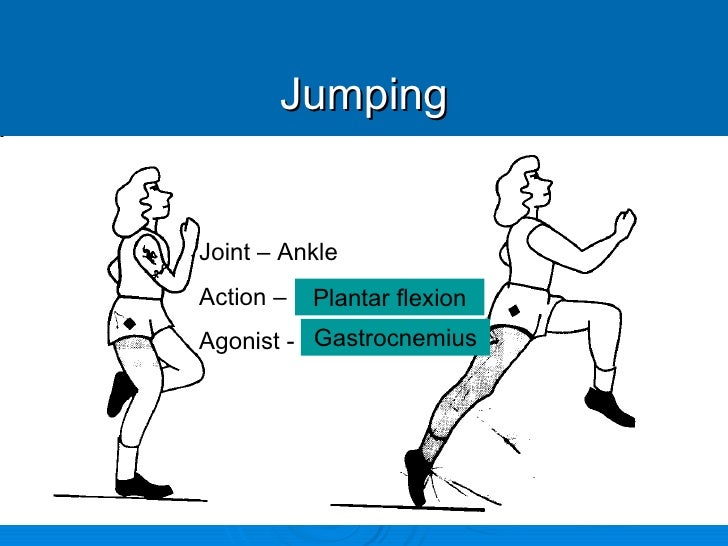 PEShare.co.uk Shared Resource