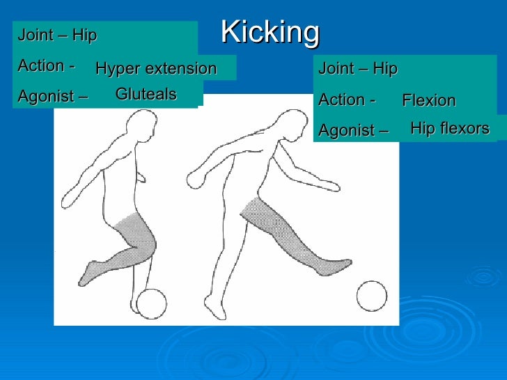 PEShare.co.uk Shared Resource