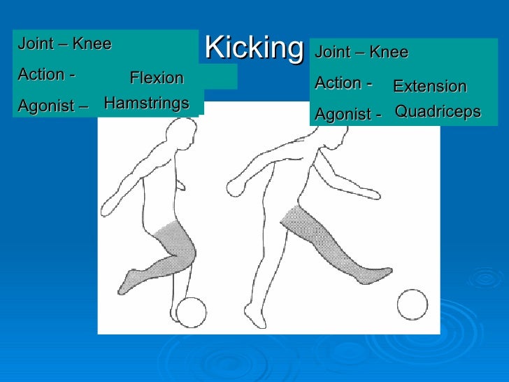 PEShare.co.uk Shared Resource