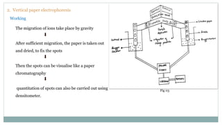Presentation on the topic Paper electrophoresis | PPTX