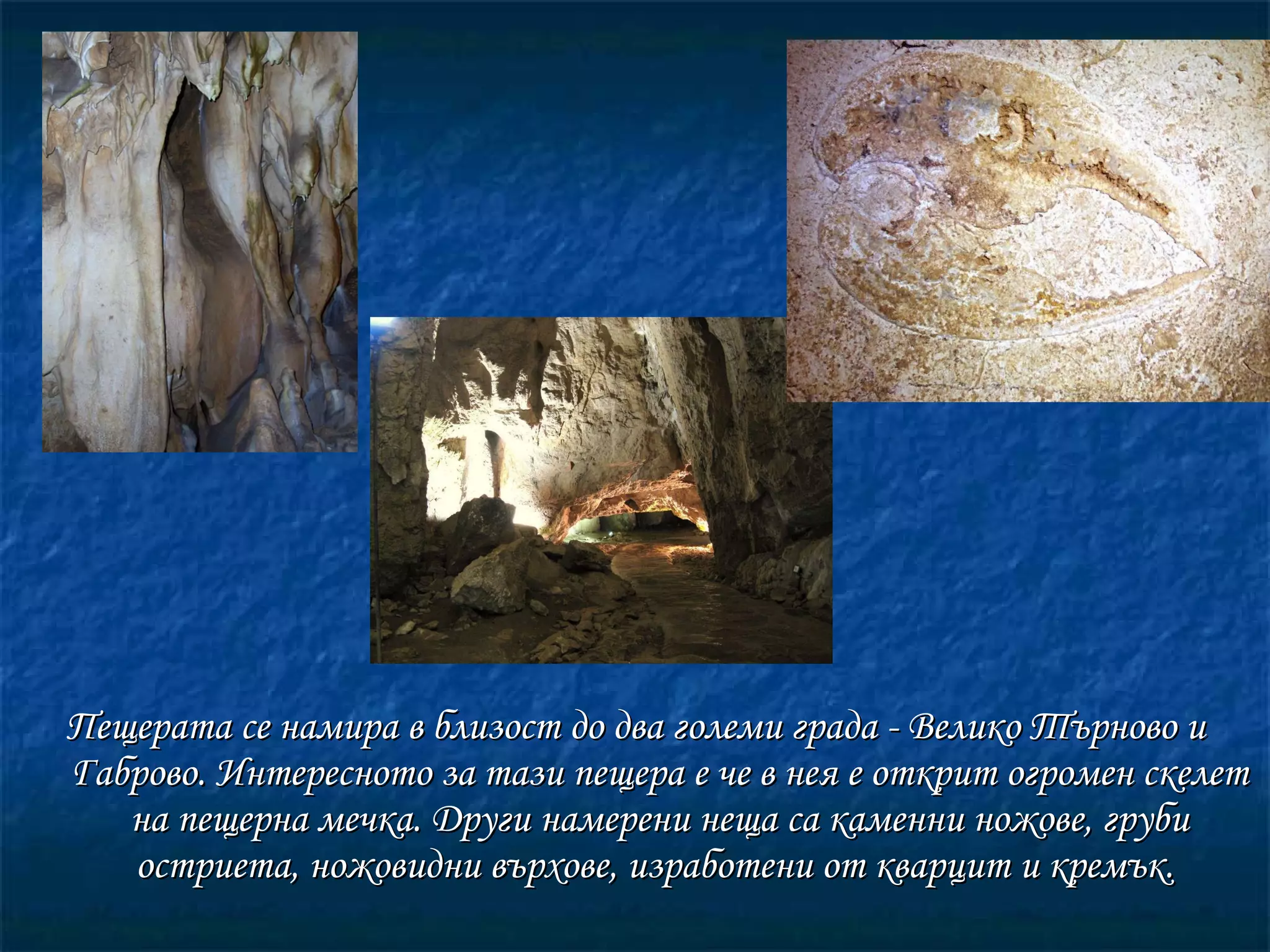 Пещерата се намира в близост до два големи града - Велико Търново и Габрово. Интересното за тази пещера е че в нея е открит огромен скелет на пещерна мечка. Други намерени неща са каменни ножове, груби остриета, ножовидни върхове, изработени от кварцит и кремък.   