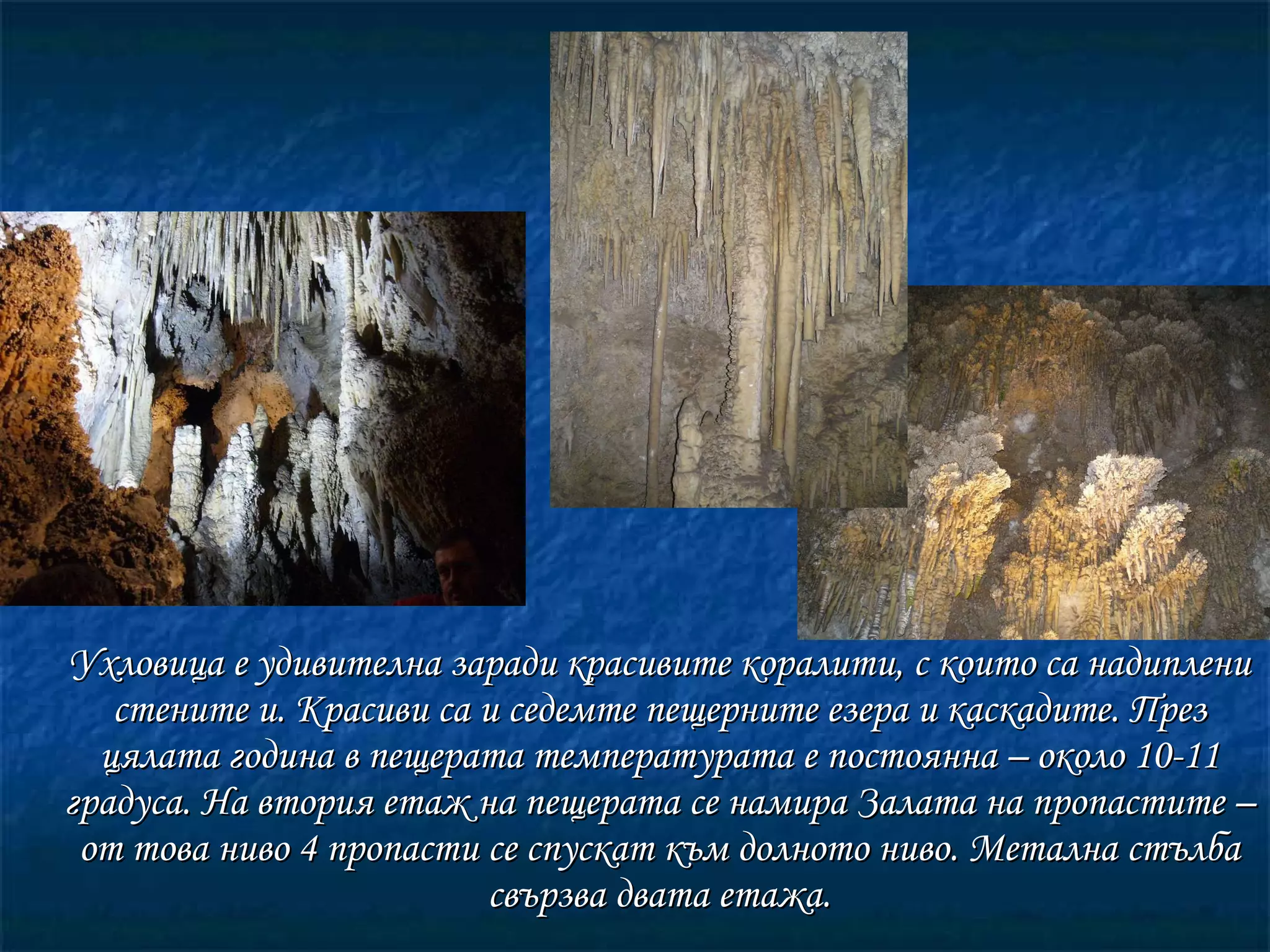 Ухловица е удивителна заради красивите коралити, с които са надиплени стените и. Красиви са и седемте пещерните езера и каскадите. През цялата година в пещерата температурата е постоянна – около 10-11 градуса. На втория етаж на пещерата се намира Залата на пропастите – от това ниво 4 пропасти се спускат към долното ниво. Метална стълба свързва двата етажа. 