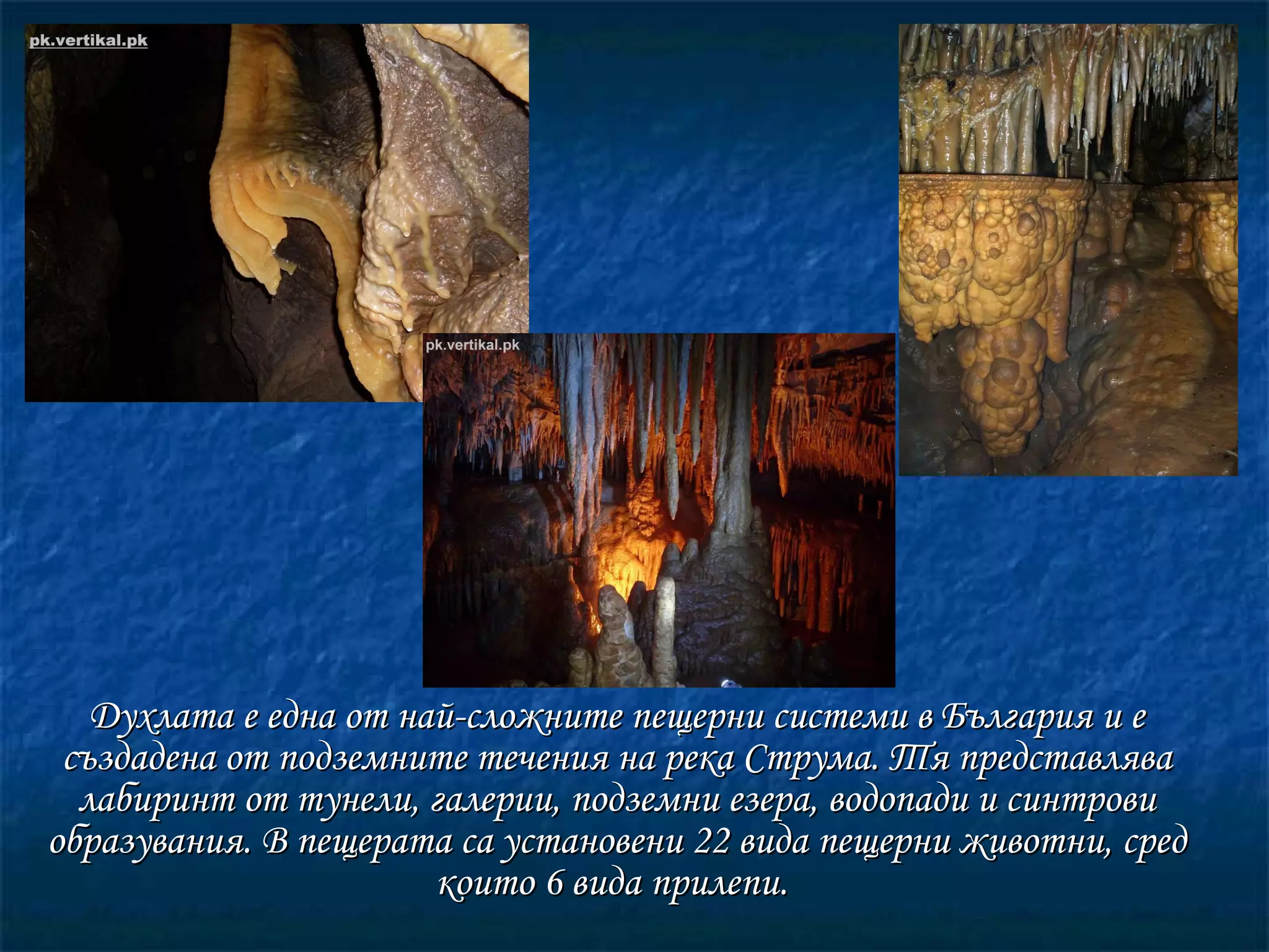 Духлата е една от най-сложните пещерни системи в България и е създадена от подземните течения на река Струма. Тя представлява лабиринт от тунели, галерии, подземни езера, водопади и синтрови образувания. В пещерата са установени 22 вида пещерни животни, сред които 6 вида прилепи.  