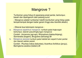 Mangrove ?
Tumbuhan yang hidup di sepanjang areal pantai, berlumpur,
basah dan dipengaruhi oleh pasang surut.
- Mangrove adalah tumbuhan halofit (tumbuhan yang hidup pada
tempat-tempat dengan kadar garam tinggi atau bersifat alkalin)
- Dikenal dua kelompok mangrove :
a. Mangrove sejati/true mangrove tumbuh pada lingkungan
berlumpur, daerah pasut/lingkungan mangrove
Contoh : Avicennia (api-api), Rhizophora (bakau/tinjang),
Sonneratia (bogem), Bruguiera (tancang) dll
b. Mangrove asosiasi tumbuh pada habitat lain seperti hutan pantai
dan daerah sekitar pesisir
Contoh : Pluchea indica (beluntas), Acanthus ilicifolius (jeruju),
Baringtonia asiatica (keben) dll
 