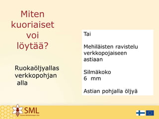 Miten
kuoriaiset
voi
löytää?
Ruokaöljyallas
verkkopohjan
alla
Tai
Mehiläisten ravistelu
verkkopojaiseen
astiaan
Silmäkoko
6 mm
Astian pohjalla öljyä
 