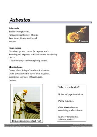 Unicamente para adiestramiento
OR-OSHA PESO HIGIENE LABORAL
For training purposes only
OR-OSHA PESO OCCUPATIONAL HEALTH 12
Asbestosis
Similar to emphysema.
Permanent scar tissue = fibrosis.
Symptoms: Shortness of breath.
No cure.
Lung cancer
Five times greater chance for exposed workers.
Smoking plus exposure = 90% chance of developing
cancer.
If detected early, can be surgically treated.
Mesothelioma
Cancer of the lining of the chest & abdomen.
Death typically within 1 year after diagnosis.
Symptoms: shortness of breath, pain.
No cure.
Asbestosis
Cancer
Removing asbestos sheet roof
Where is asbestos?
Boiler and pipe insulations.
Public buildings.
Over 3,000 asbestos-
containing products in use.
Every community has
asbestos products.
Asbestos
 
