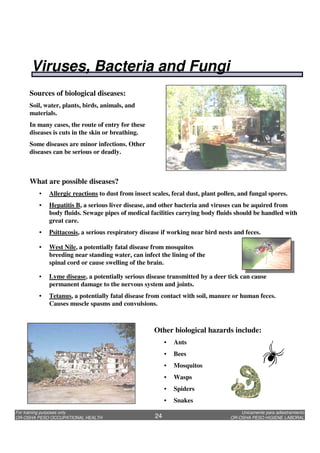 Unicamente para adiestramiento
OR-OSHA PESO HIGIENE LABORAL
For training purposes only
OR-OSHA PESO OCCUPATIONAL HEALTH 24
Sources of biological diseases:
Soil, water, plants, birds, animals, and
materials.
In many cases, the route of entry for these
diseases is cuts in the skin or breathing.
Some diseases are minor infections. Other
diseases can be serious or deadly.
What are possible diseases?
• Allergic reactions to dust from insect scales, fecal dust, plant pollen, and fungal spores.
• Hepatitis B, a serious liver disease, and other bacteria and viruses can be aquired from
body fluids. Sewage pipes of medical facilities carrying body fluids should be handled with
great care.
• Psittacosis, a serious respiratory disease if working near bird nests and feces.
• West Nile, a potentially fatal disease from mosquitos
breeding near standing water, can infect the lining of the
spinal cord or cause swelling of the brain.
• Lyme disease, a potentially serious disease transmitted by a deer tick can cause
permanent damage to the nervous system and joints.
• Tetanus, a potentially fatal disease from contact with soil, manure or human feces.
Causes muscle spasms and convulsions.
Other biological hazards include:
• Ants
• Bees
• Mosquitos
• Wasps
• Spiders
• Snakes
Viruses, Bacteria and Fungi
 
