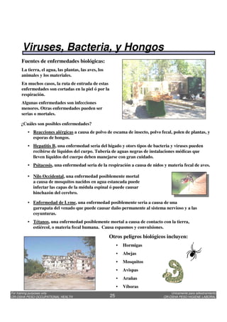 Unicamente para adiestramiento
OR-OSHA PESO HIGIENE LABORAL
For training purposes only
OR-OSHA PESO OCCUPATIONAL HEALTH 25
Fuentes de enfermedades biológicas:
La tierra, el agua, las plantas, las aves, los
animales y los materiales.
En muchos casos, la ruta de entrada de estas
enfermedades son cortadas en la piel ó por la
respiración.
Algunas enfermedades son infecciones
menores. Otras enfermedades pueden ser
serias o mortales.
¿Cuáles son posibles enfermedades?
• Reacciones alérgicas a causa de polvo de escama de insecto, polvo fecal, polen de plantas, y
esporas de hongos.
• Hepatitis B, una enfermedad seria del hígado y otors tipos de bacteria y viruses pueden
recibirse de líquidos del curpo. Tubería de aguas negras de instalaciones médicas que
lleven líquidos del cuerpo deben manejarse con gran cuidado.
• Psitacosis, una enfermedad seria de la respiración a causa de nidos y materia fecal de aves.
• Nilo Occidental, una enfermedad posiblemente mortal
a causa de mosquitos nacidos en agua estancada puede
infectar las capas de la médula espinal ó puede causar
hinchazón del cerebro.
• Enfermedad de Lyme, una enfermedad posiblemente seria a causa de una
garrapata del venado que puede causar daño permanente al sistema nervioso y a las
coyunturas.
• Tétanos, una enfermedad posiblemente mortal a causa de contacto con la tierra,
estiércol, o materia fecal humana. Causa espasmos y convulsiones.
Otros peligros biológicos incluyen:
• Hormigas
• Abejas
• Mosquitos
• Avispas
• Arañas
• Víboras
Viruses, Bacteria, y Hongos
 
