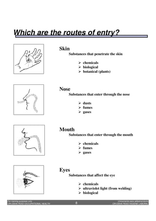 Unicamente para adiestramiento
OR-OSHA PESO HIGIENE LABORAL
For training purposes only
OR-OSHA PESO OCCUPATIONAL HEALTH 8
Skin
Substances that penetrate the skin
chemicals
biological
botanical (plants)
Nose
Substances that enter through the nose
dusts
fumes
gases
Eyes
Substances that affect the eye
chemicals
ultraviolet light (from welding)
biological
Mouth
Substances that enter through the mouth
chemicals
fumes
gases
Which are the routes of entry?
 