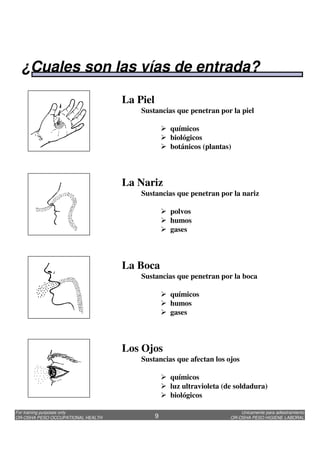 Unicamente para adiestramiento
OR-OSHA PESO HIGIENE LABORAL
For training purposes only
OR-OSHA PESO OCCUPATIONAL HEALTH 9
La Piel
Sustancias que penetran por la piel
químicos
biológicos
botánicos (plantas)
La Nariz
Sustancias que penetran por la nariz
polvos
humos
gases
Los Ojos
Sustancias que afectan los ojos
químicos
luz ultravioleta (de soldadura)
biológicos
La Boca
Sustancias que penetran por la boca
químicos
humos
gases
¿Cuales son las vías de entrada?
 