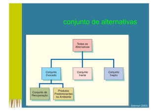 Solomon (2003)
conjunto de alternativas
 
