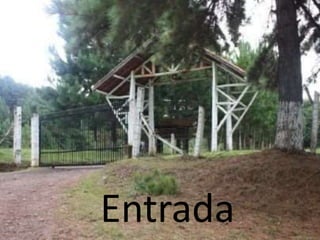Entrada
 