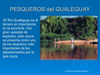 PESQUEROS del GUALEGUAY -El Río Gualeguay es el tercero en importancia en la provincia. Con gran variedad de especies, este cauce se presenta como uno de los atractivos más importantes de los departamentos por lo que cruza.  