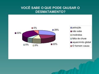 VOCÊ SABE O QUE PODE CAUSAR O DESMATAMENTO? 