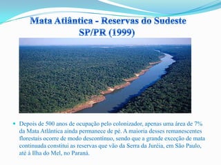  Depois de 500 anos de ocupação pelo colonizador, apenas uma área de 7%
da Mata Atlântica ainda permanece de pé. A maioria desses remanescentes
florestais ocorre de modo descontínuo, sendo que a grande exceção de mata
continuada constitui as reservas que vão da Serra da Juréia, em São Paulo,
até à Ilha do Mel, no Paraná.
 