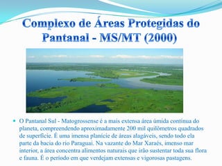  O Pantanal Sul - Matogrossense é a mais extensa área úmida contínua do
planeta, compreendendo aproximadamente 200 mil quilômetros quadrados
de superfície. É uma imensa planície de áreas alagáveis, sendo todo ela
parte da bacia do rio Paraguai. Na vazante do Mar Xaraés, imenso mar
interior, a área concentra alimentos naturais que irão sustentar toda sua flora
e fauna. É o período em que verdejam extensas e vigorosas pastagens.
 