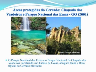  O Parque Nacional das Emas e o Parque Nacional da Chapada dos
Veadeiros, localizados no Estado de Goiás, abrigam fauna e flora
típicas do Cerrado brasileiro
 