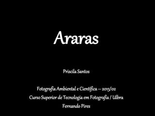 Araras
Priscila Santos
FotografiaAmbiental e Científica – 2015/02
CursoSuperior de Tecnologia em Fotografia / Ulbra
Fernando Pires
 