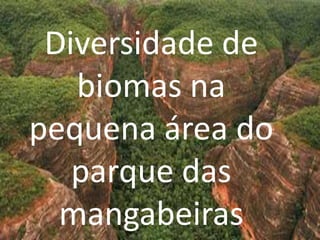 Diversidade de
   biomas na
pequena área do
   parque das
  mangabeiras
 