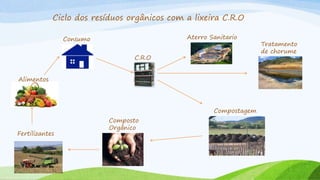 Ciclo dos resíduos orgânicos com a lixeira C.R.O
C.R.O
Tratamento
de chorume
Aterro SanitarioConsumo
Compostagem
Composto
Orgânico
Alimentos
Fertilizantes
 