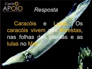 www.aulasdebiologiaapoio.com - Biologia – Reino Animal
