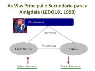 As Vias Principal e Secundária para a
     Amígdala (LEDOUX, 1998)
         Córtex Sensorial
 
