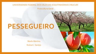 UNIVERSIDADE FEDERAL DOSVALES DO JEQUITINHONHA E MUCURI
Fruticultura Geral
Wedis Martins
Nubia C. Santos
PESSEGUEIRO
 