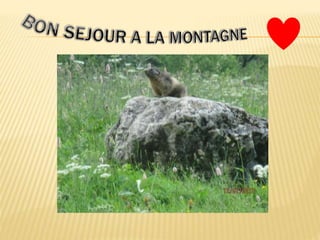 Location de studio à Pessey Vallandry