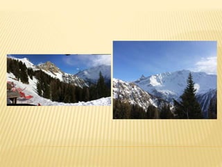 Location de studio à Pessey Vallandry