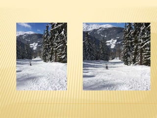 Location de studio à Pessey Vallandry