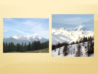 Location de studio à Pessey Vallandry