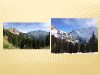 Location de studio à Pessey Vallandry