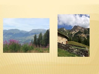 Location de studio à Pessey Vallandry