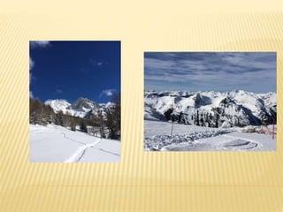 Location de studio à Pessey Vallandry