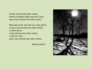 O luar através dos altos ramos,
dizem os poetas todos que ele é mais
que o luar através dos altos ramos.

Mas para mim, que nâo sei o que penso
o que o luar através dos altos ramos
é, além de ser
o luar através dos altos ramos,
é nâo ser mais
que o luar através dos altos ramos.

                       Alberto Caeiro
 