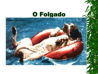 O Folgado