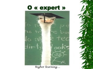 O « expert »